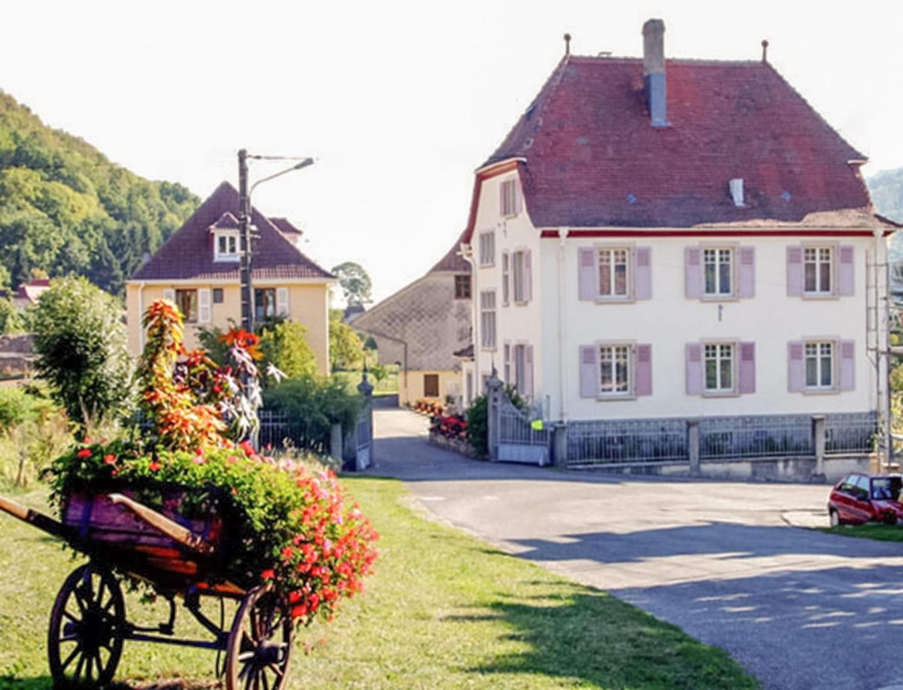Villa Du Sendenbach Muhlbach-sur-Munster Exterior foto