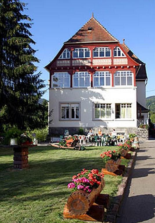 Villa Du Sendenbach Muhlbach-sur-Munster Exterior foto